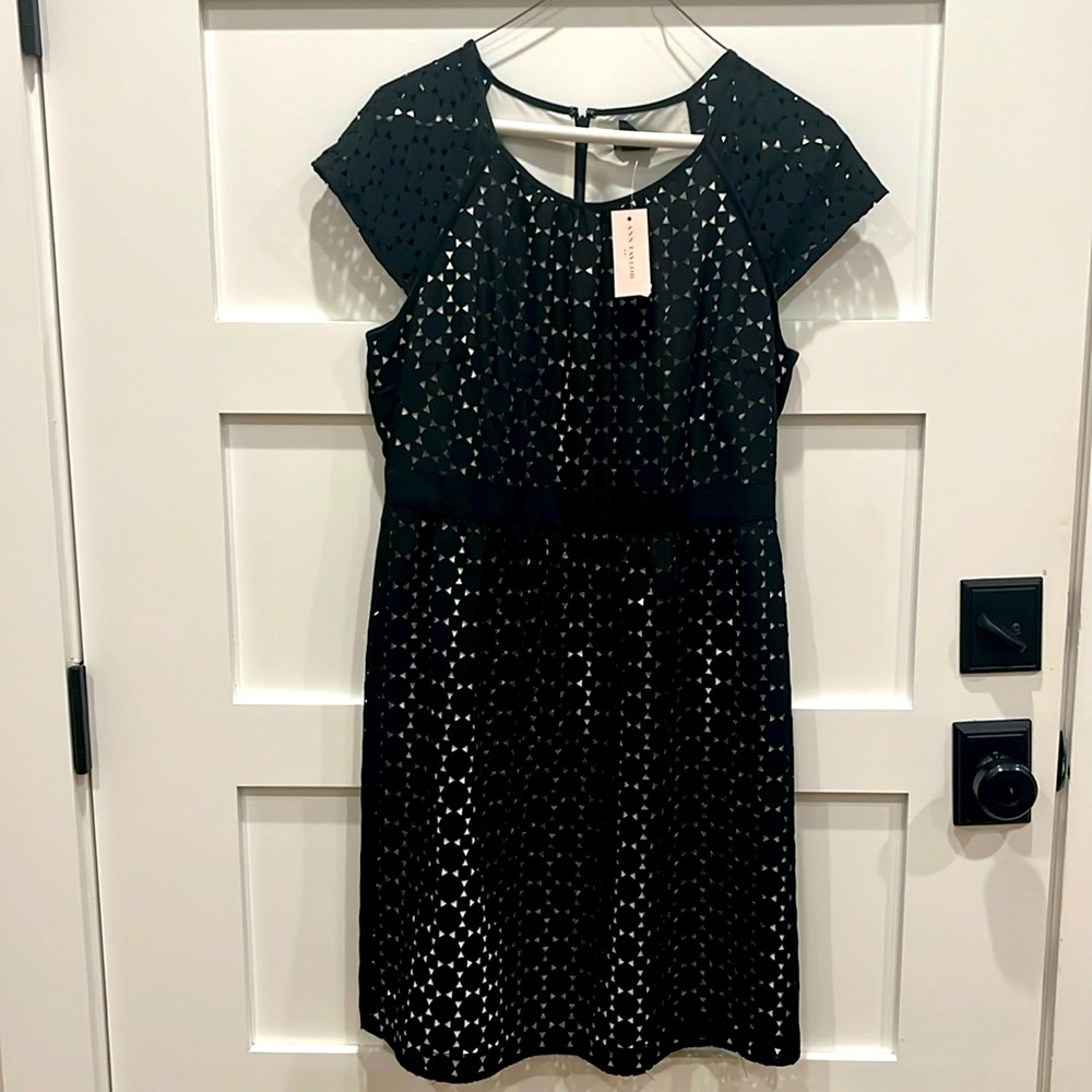 Ann Tylor NWT dress size 6P